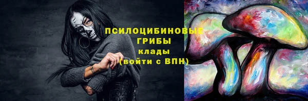 мяу мяу мука Абинск