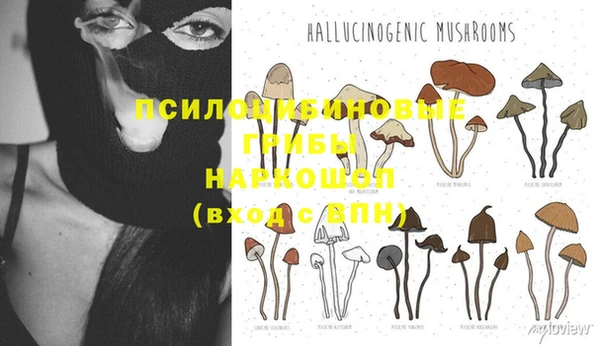 мяу мяу мука Абинск